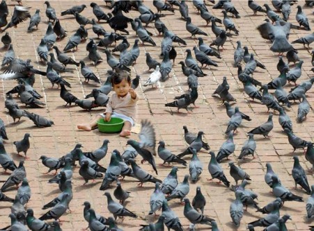பகுத்துண்டு பல்லுயிர் ஓம்புதல்